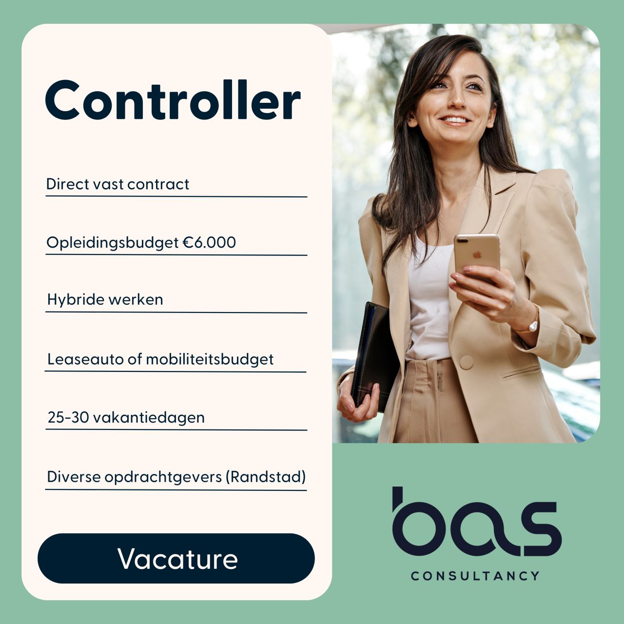 BAS Consultancy ad