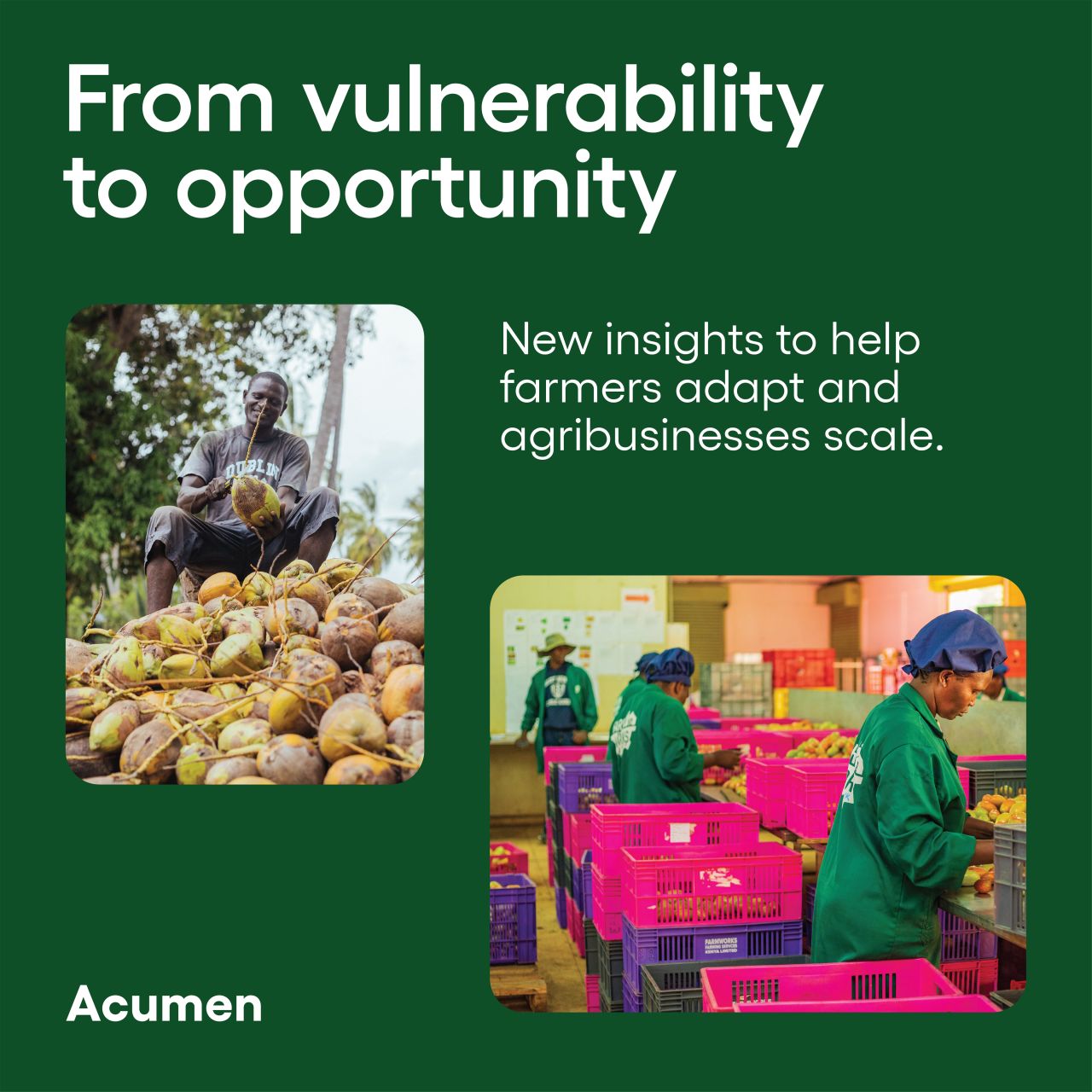Acumen ad