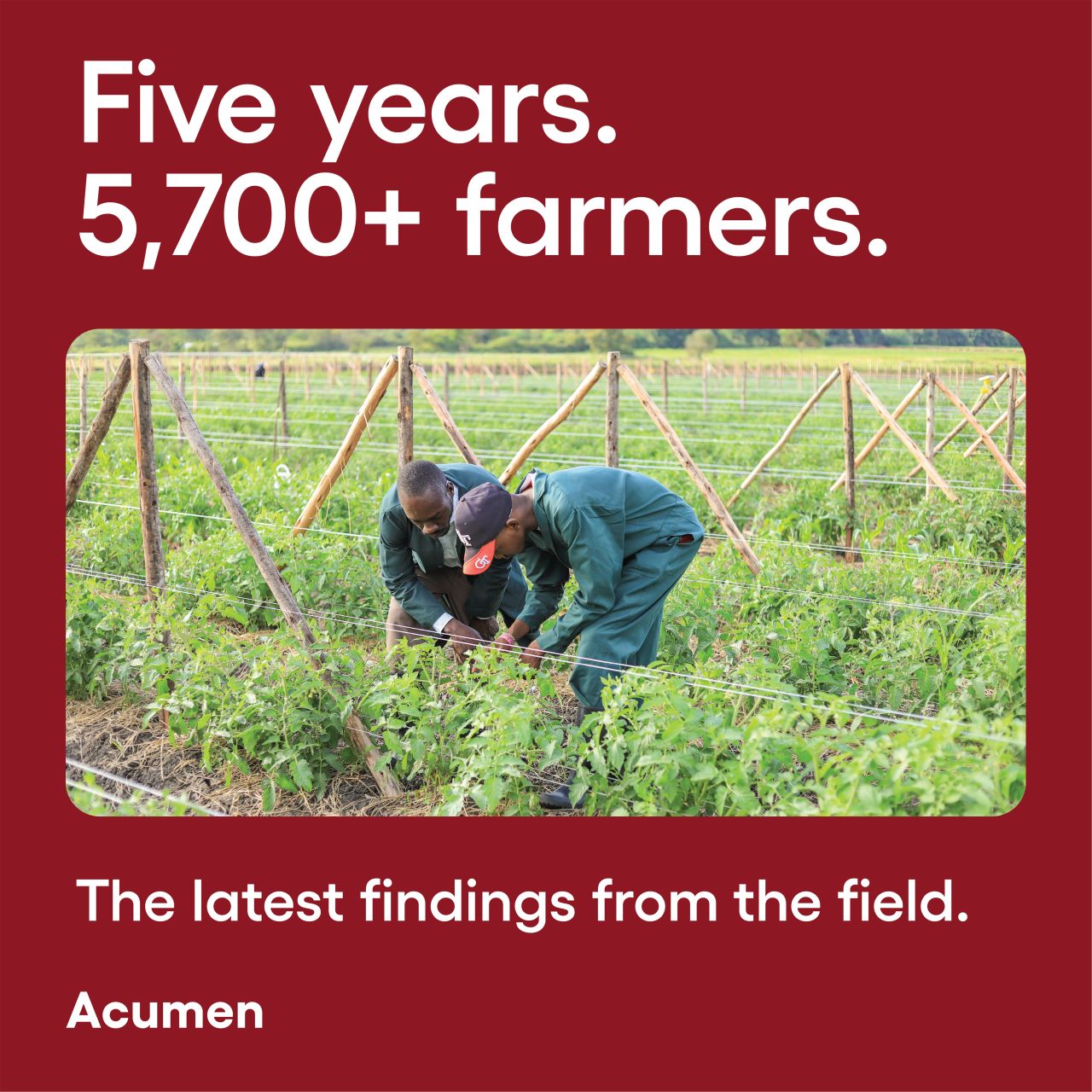 Acumen ad