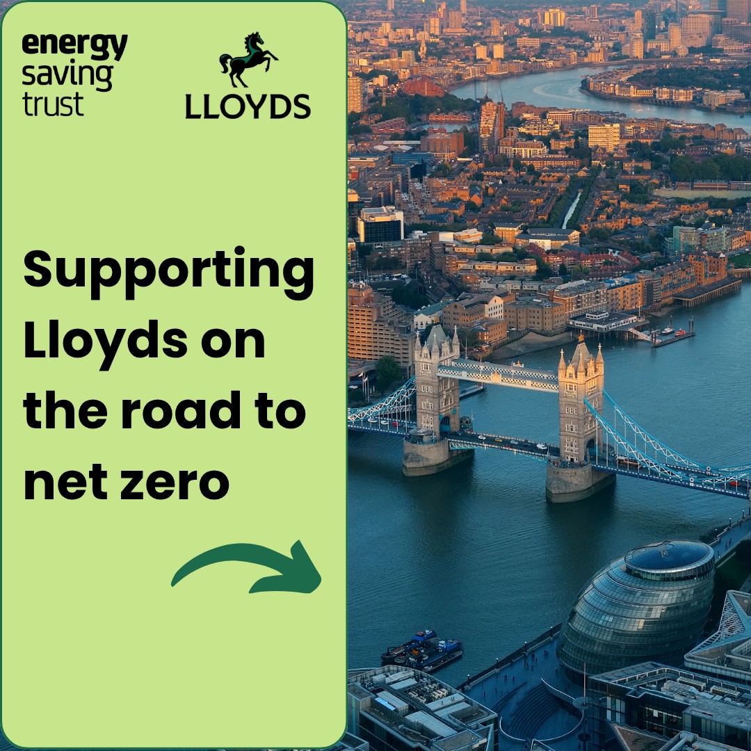 Energy Saving Trust ad