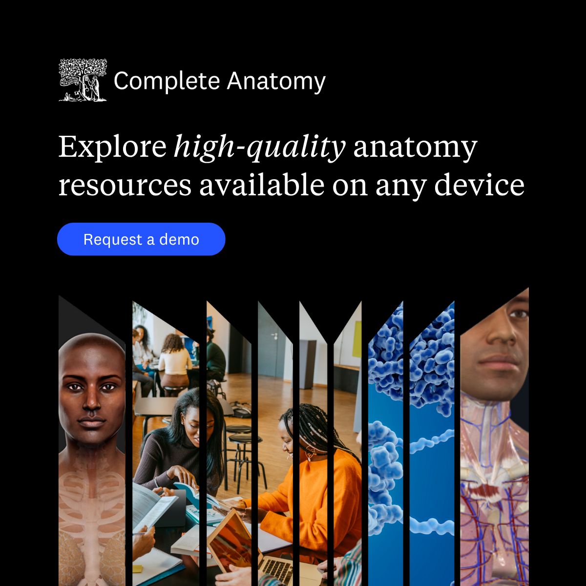 Complete Anatomy ad