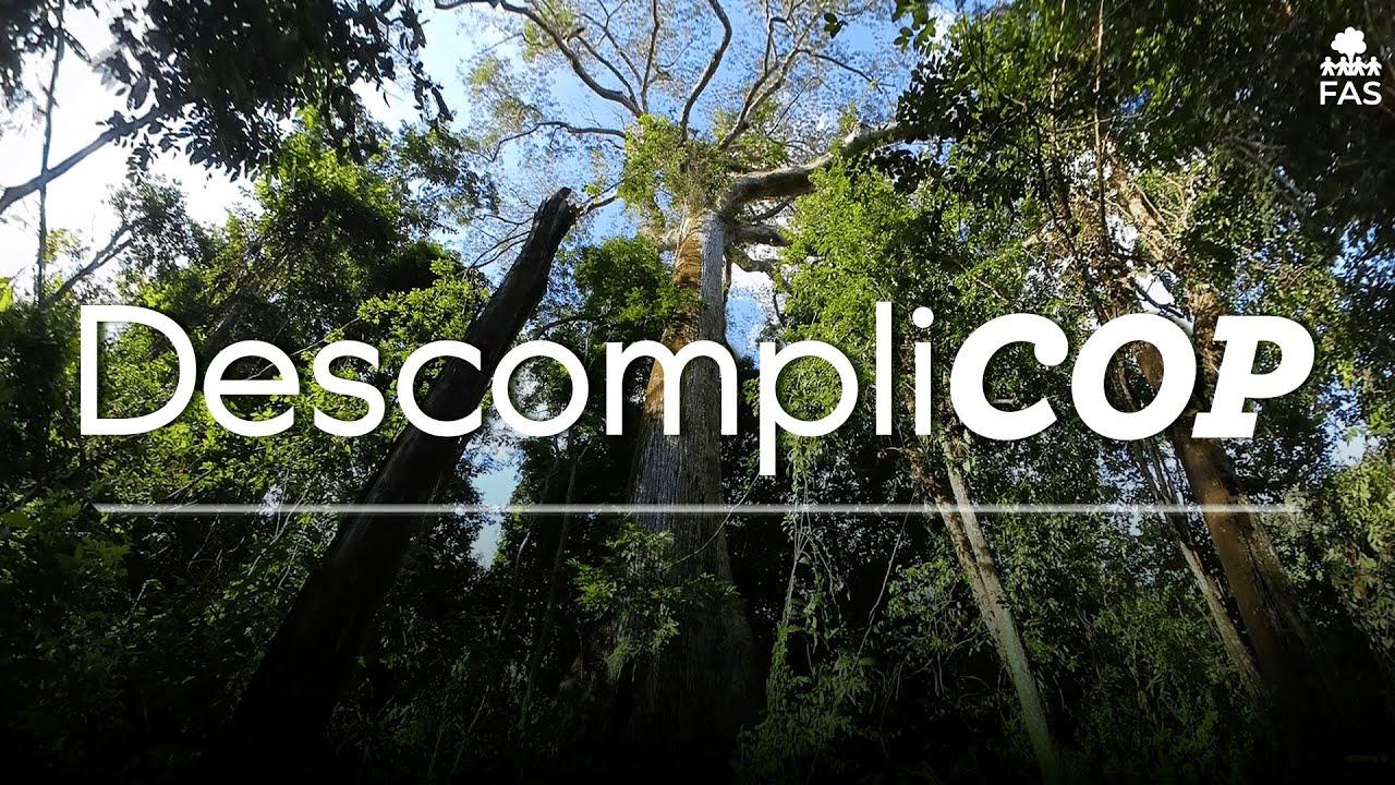 Foundation for Amazon Sustainability ad
