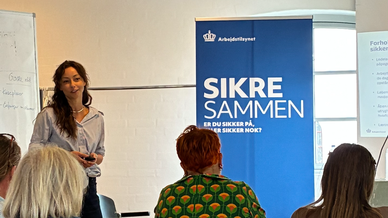 Arbejdstilsynet ad