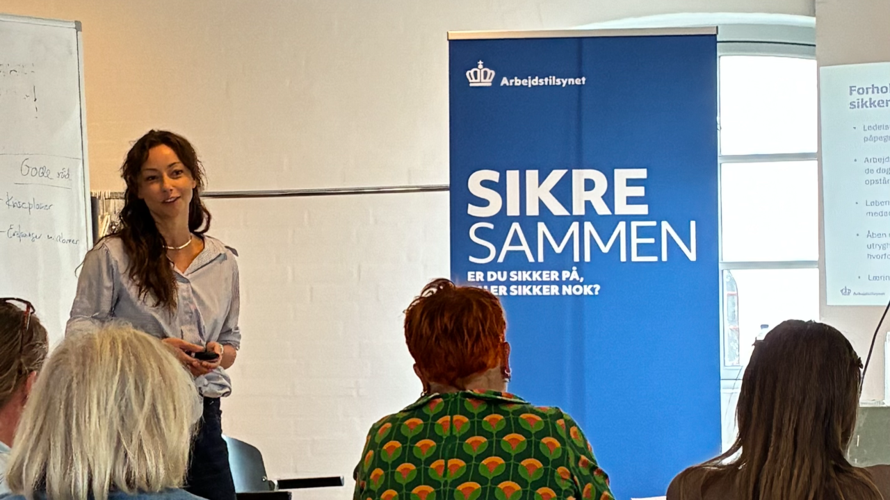 Arbejdstilsynet ad