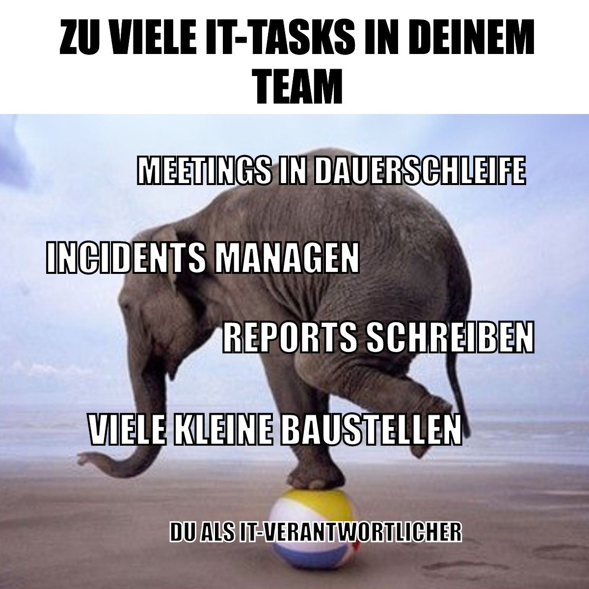 dualutions GmbH ad