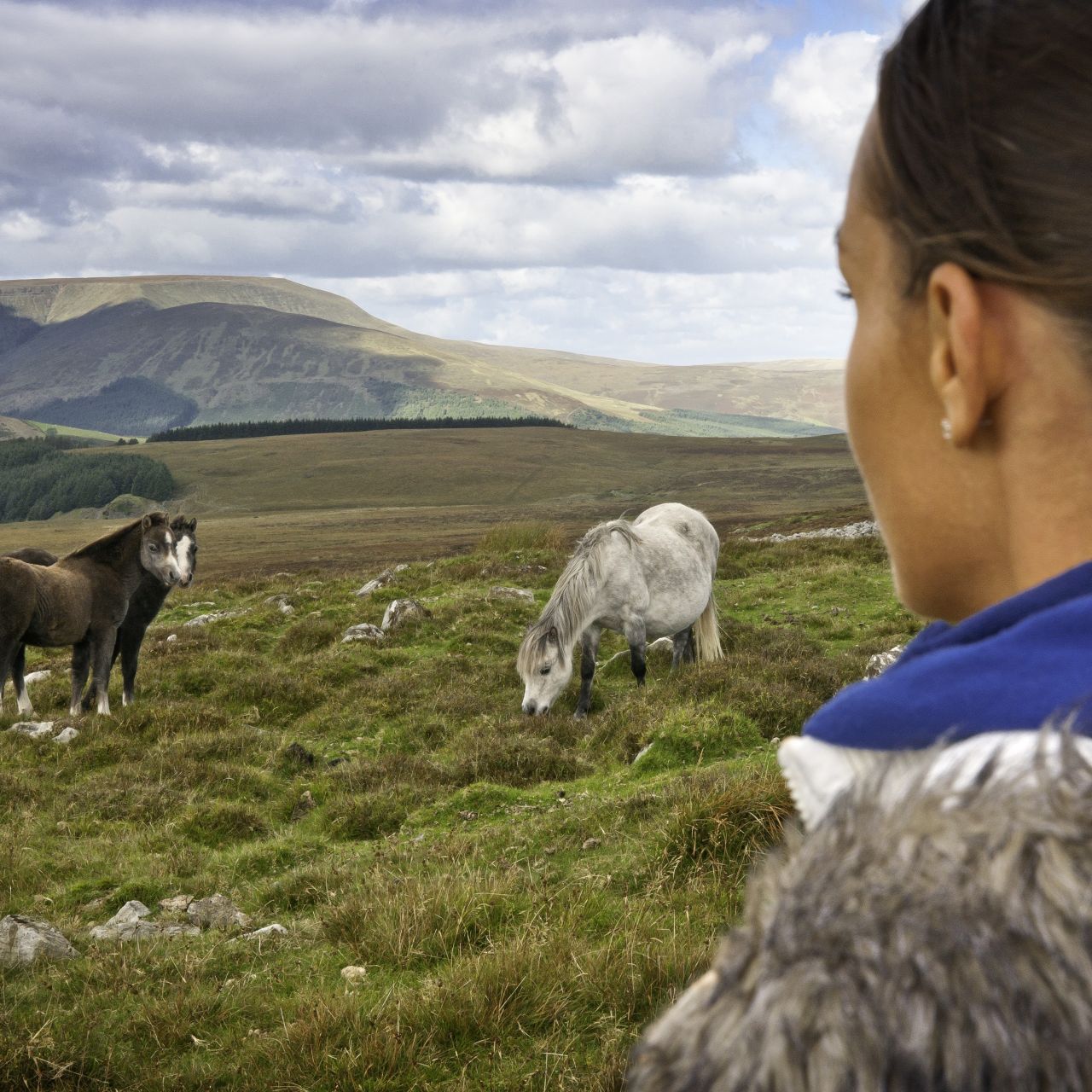 Llywodraeth Cymru / Welsh Government ad