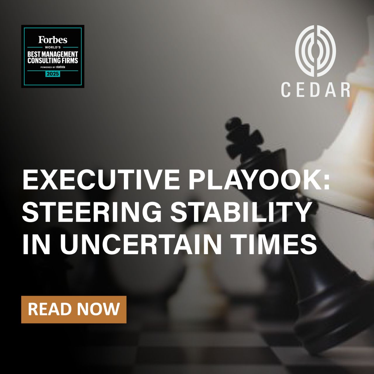 Cedar Management Consulting International ad