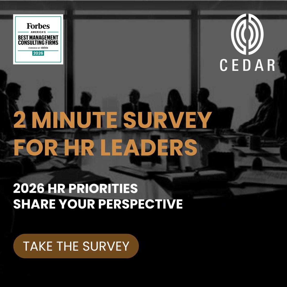 Cedar Management Consulting International ad
