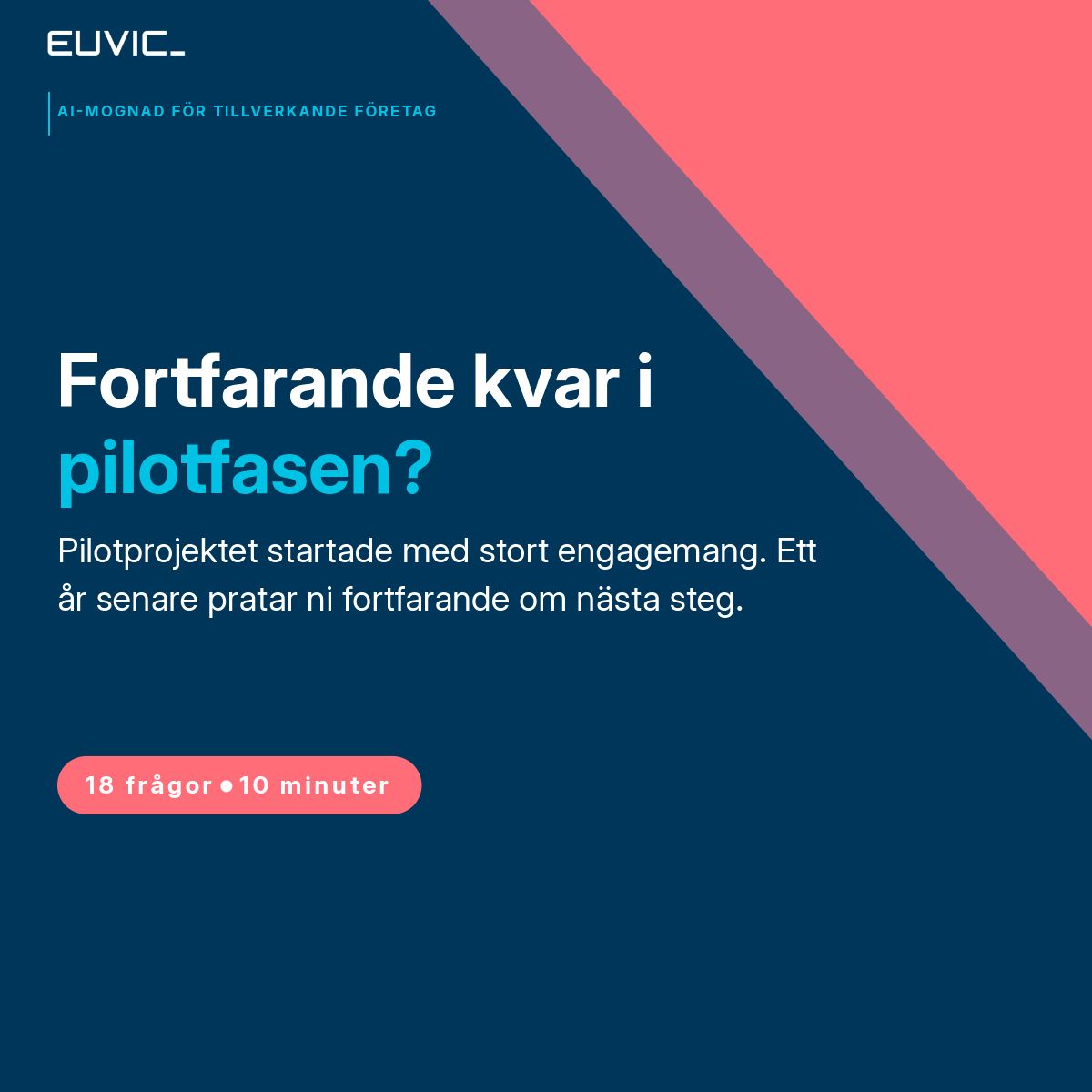 Euvic Sverige ad