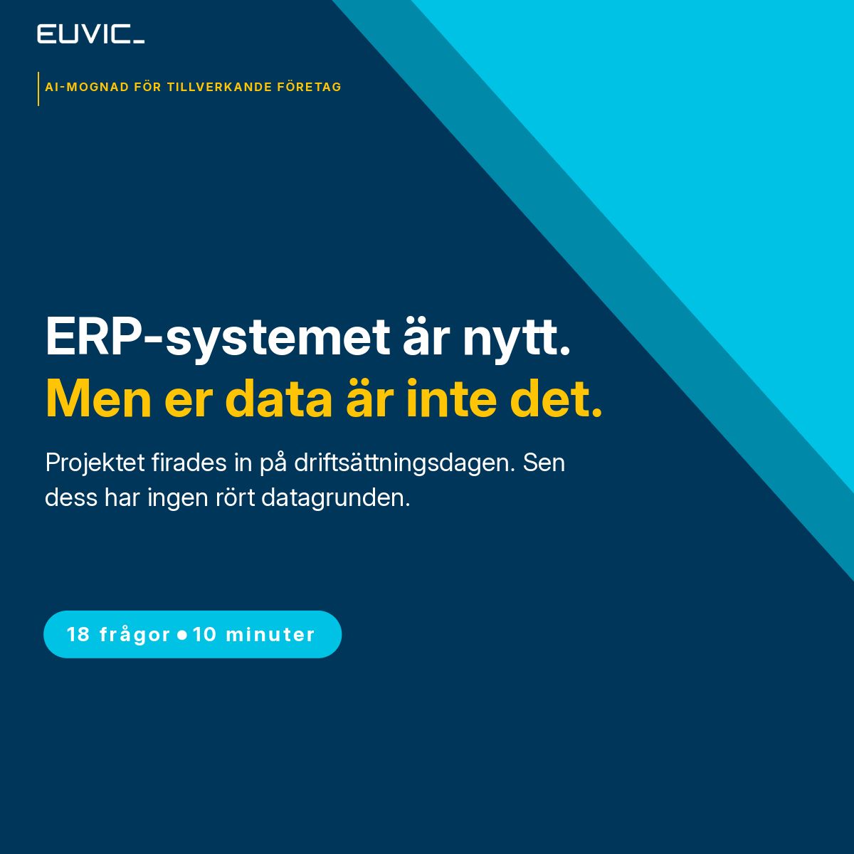Euvic Sverige ad