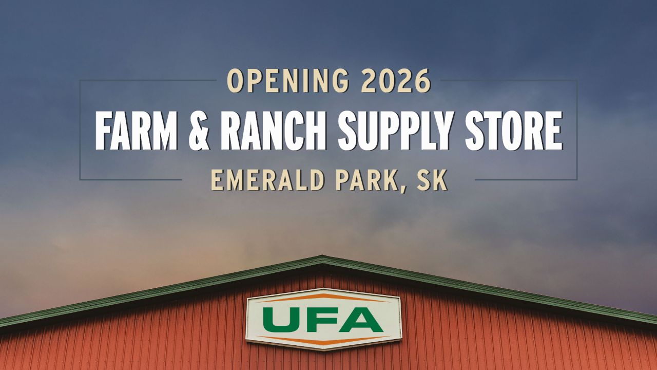 UFA ad