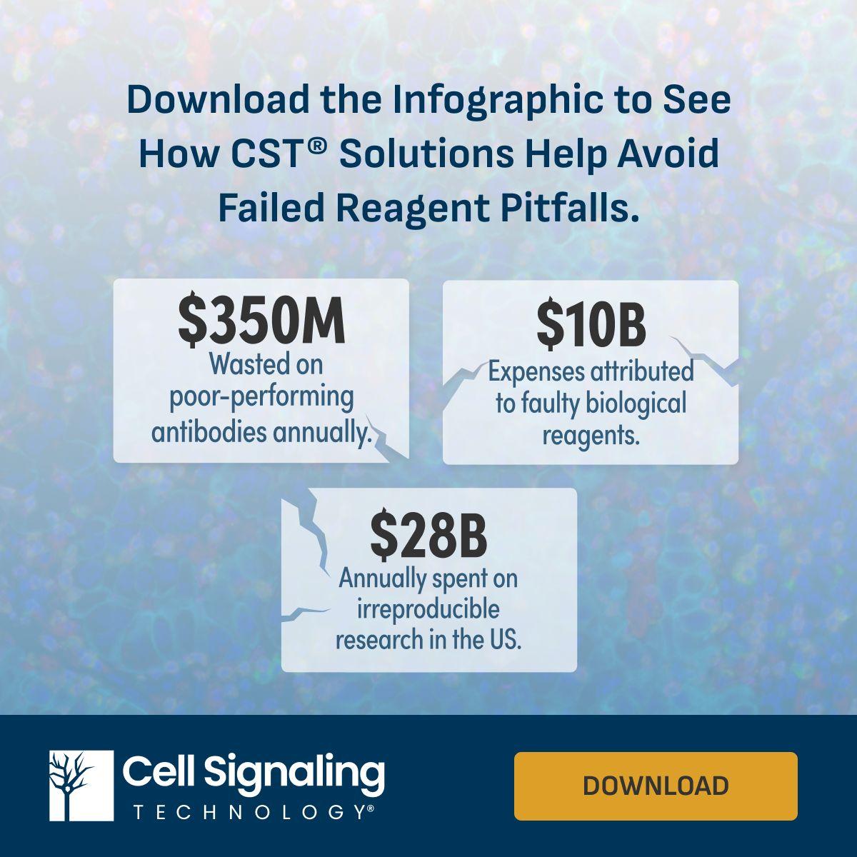 Cell Signaling Technology (CST) ad