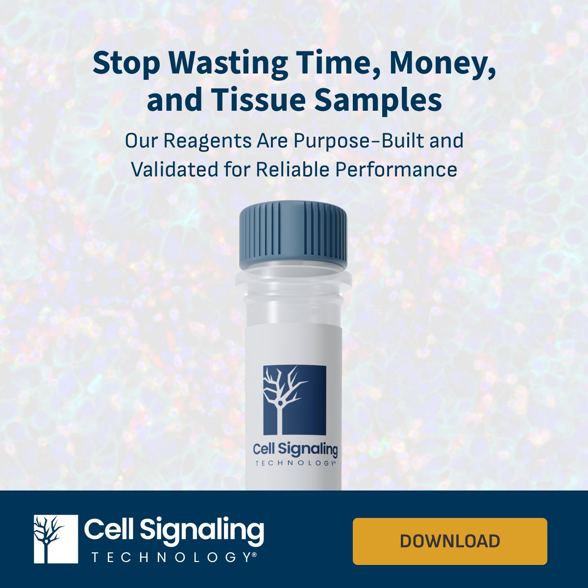 Cell Signaling Technology (CST) ad