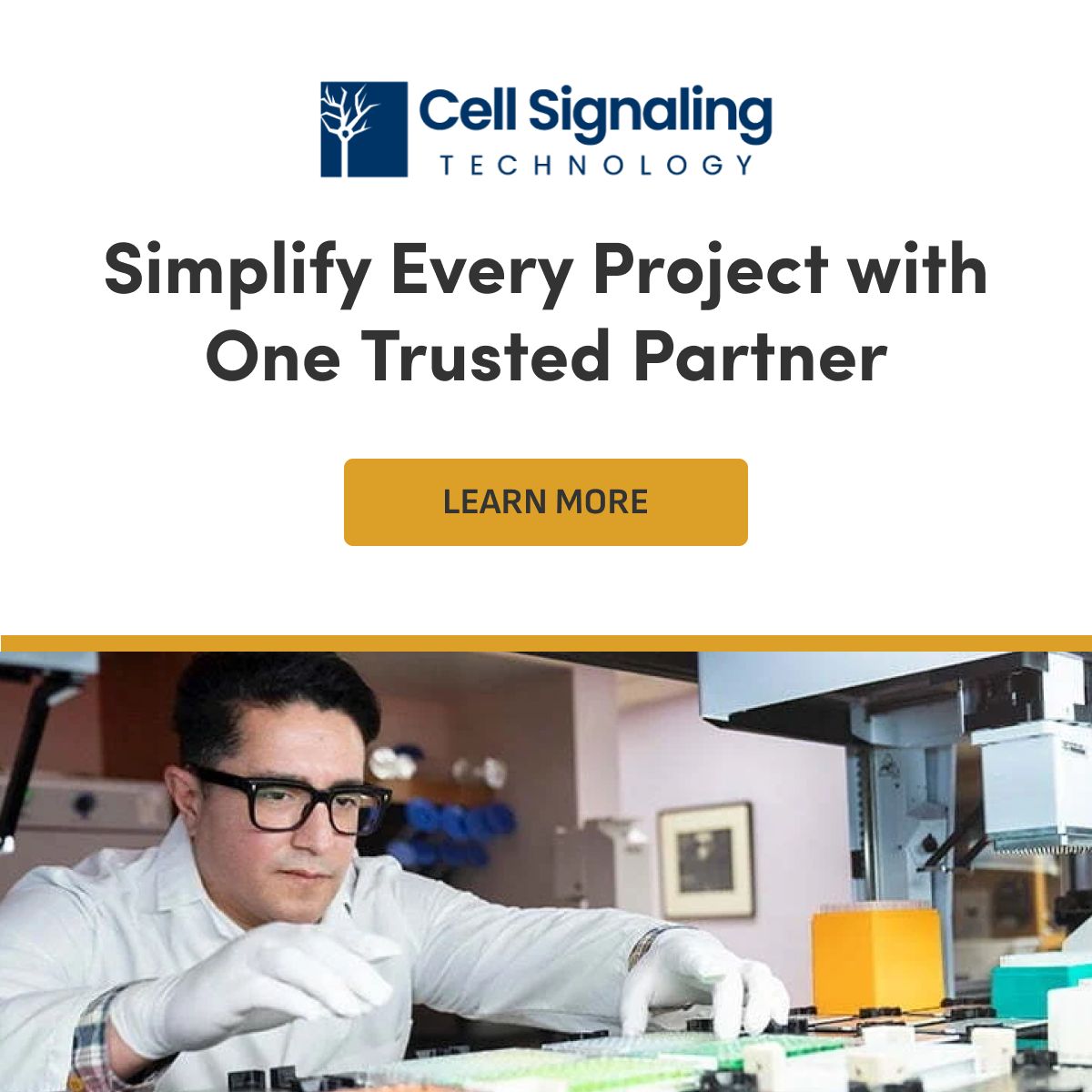 Cell Signaling Technology (CST) ad