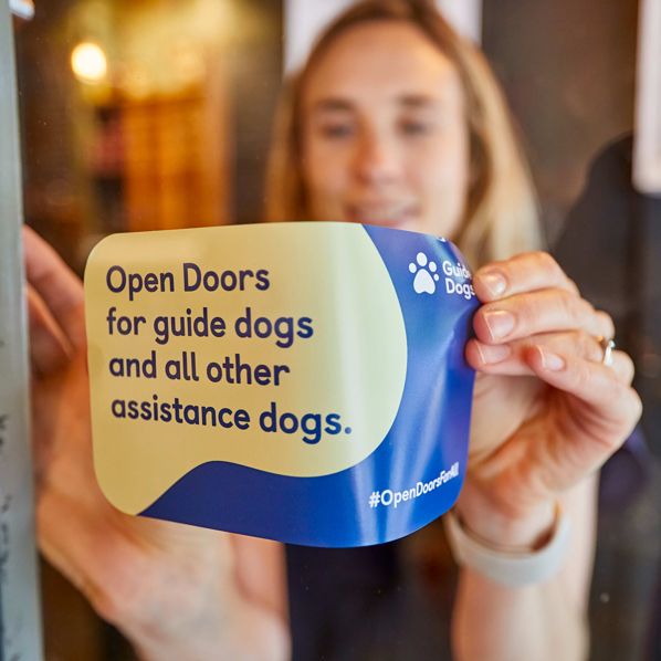 The Guide Dogs for the Blind Association ad