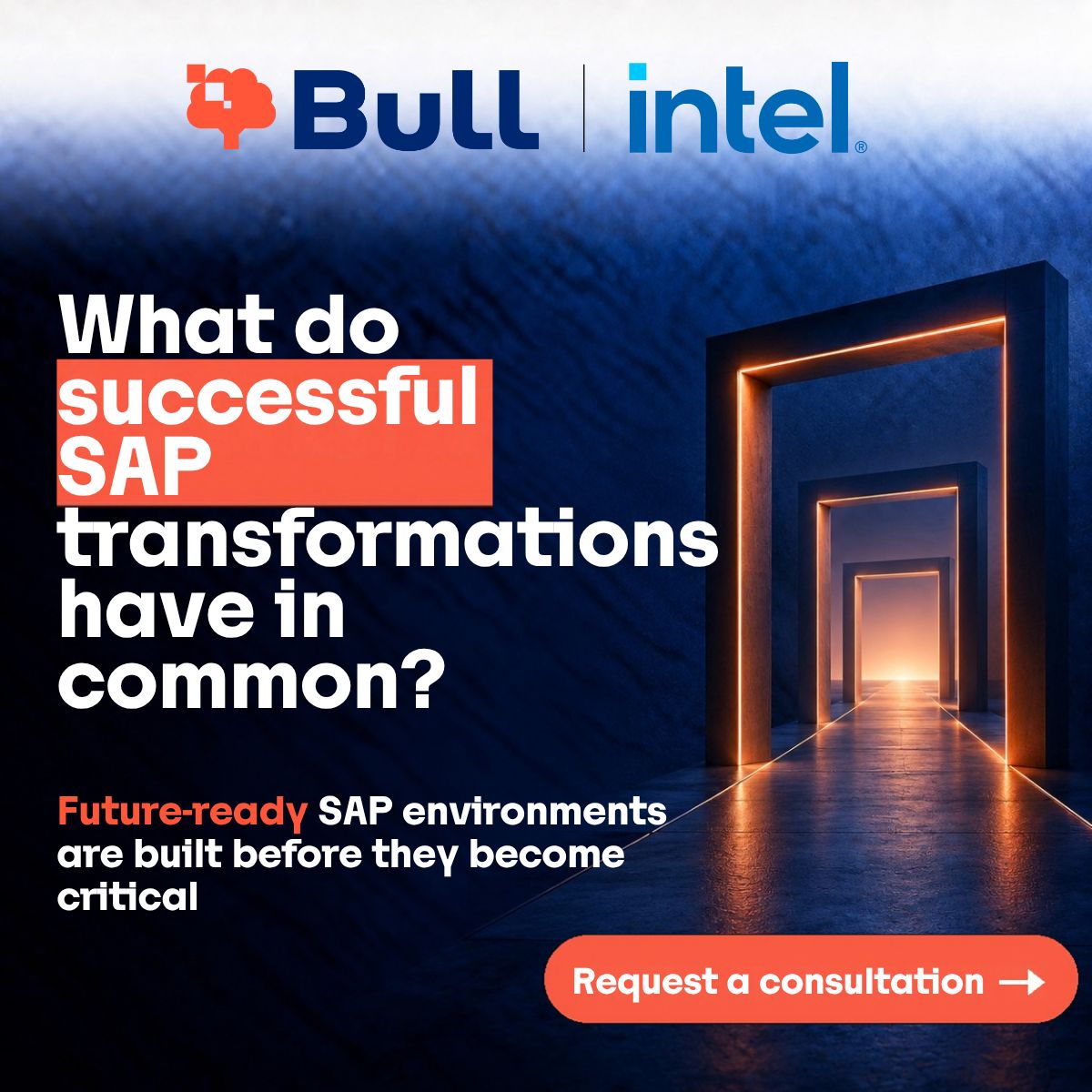 Bull ad