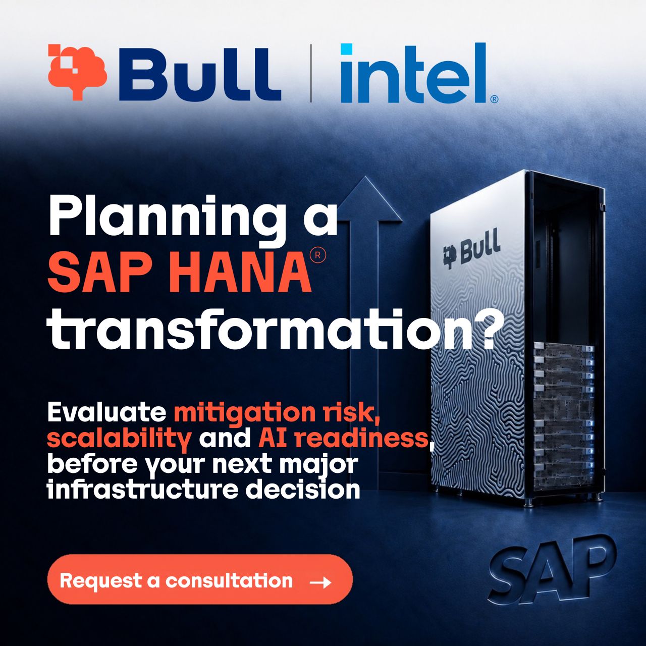 Bull ad