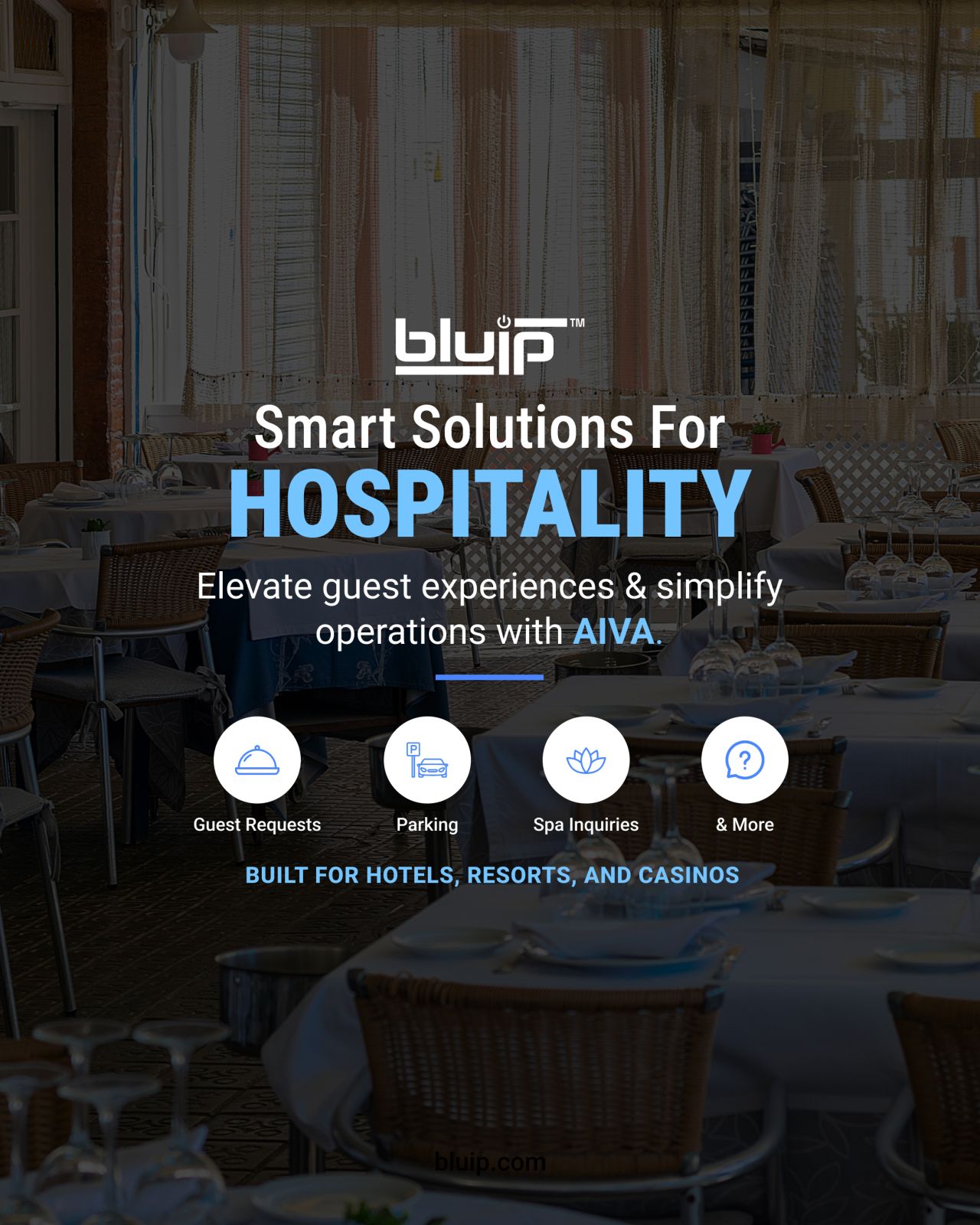 BluIP Inc. ad