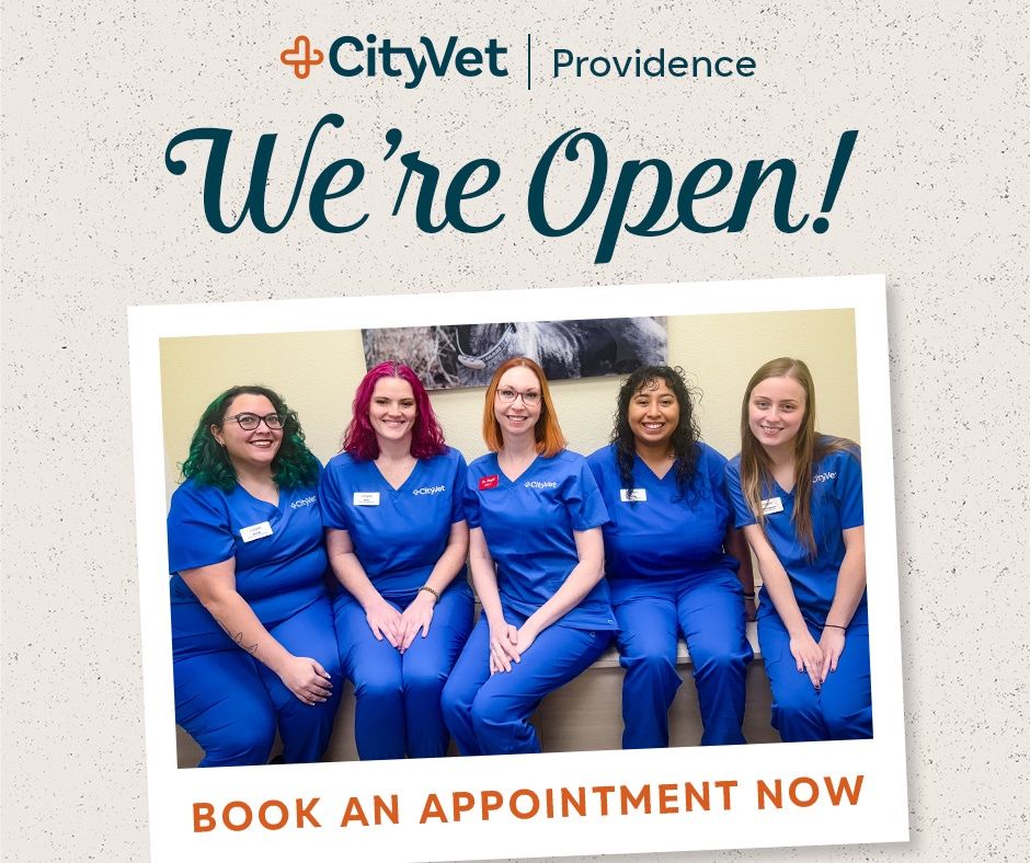 CityVet ad