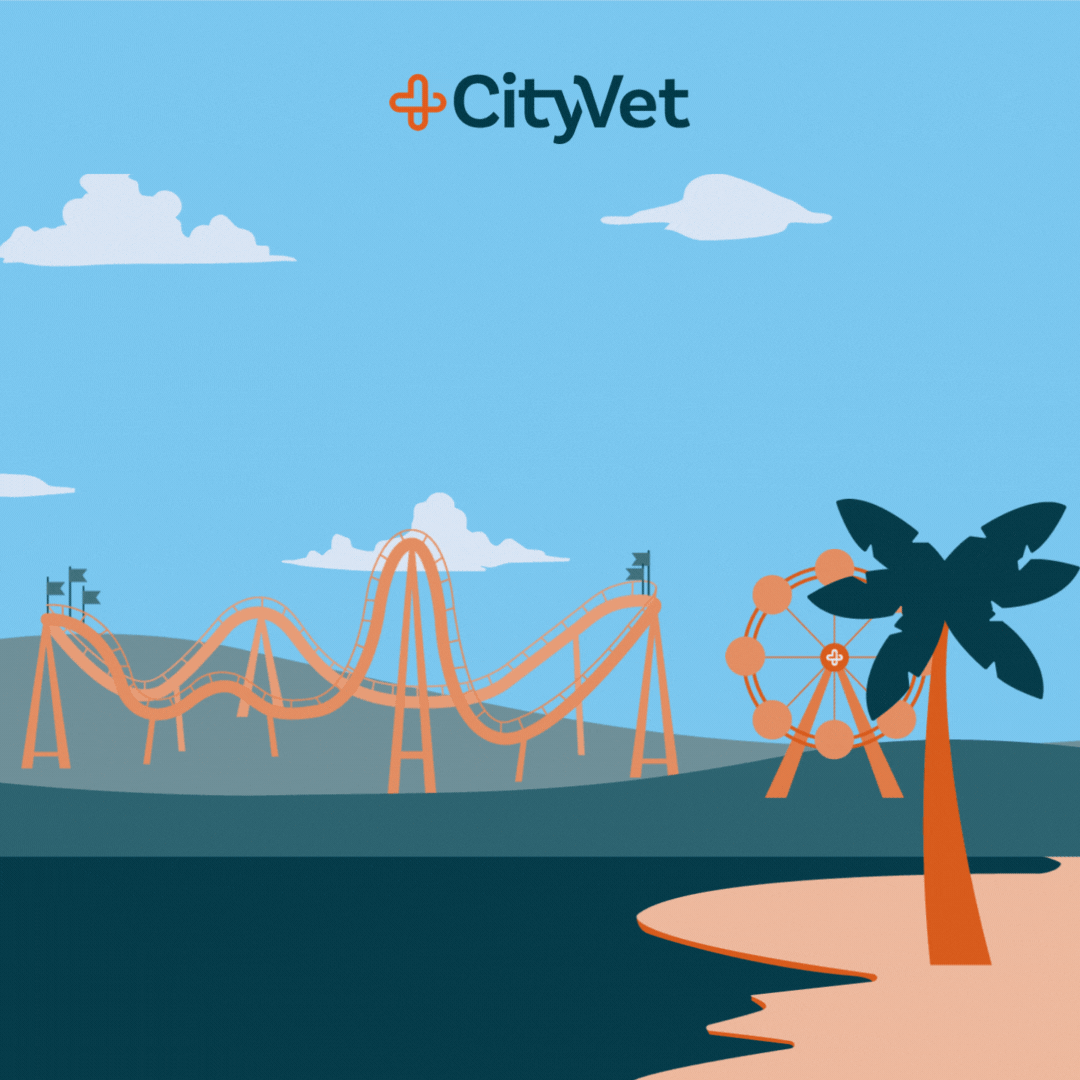 CityVet ad