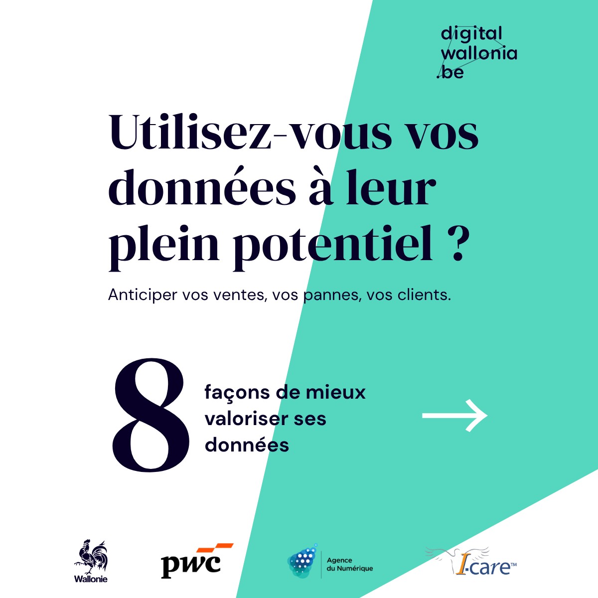Digital Wallonia ad