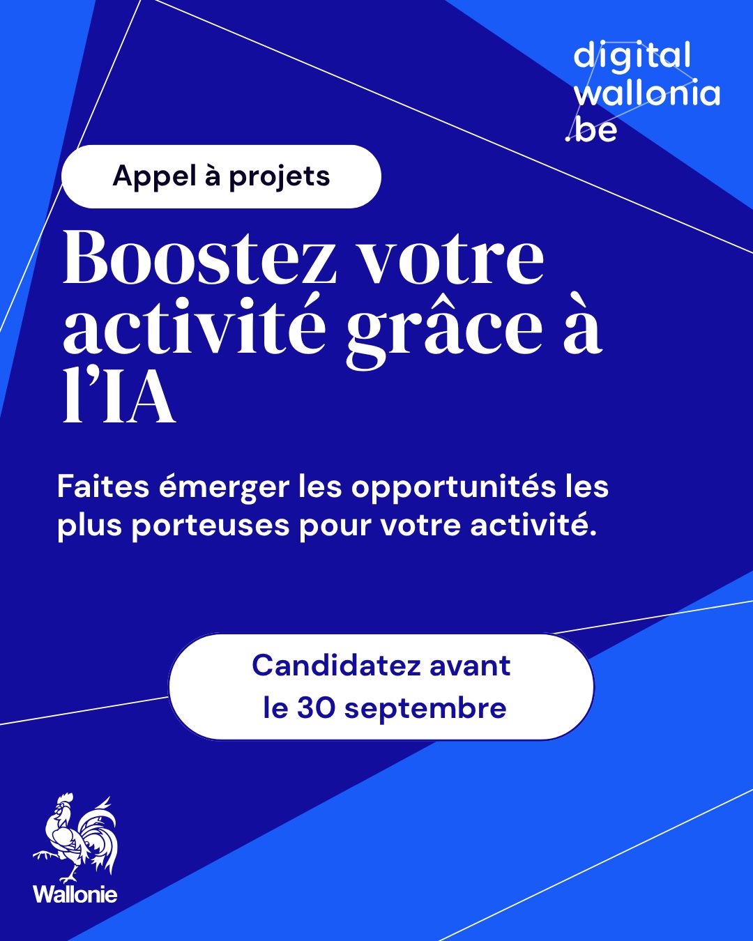 Digital Wallonia ad
