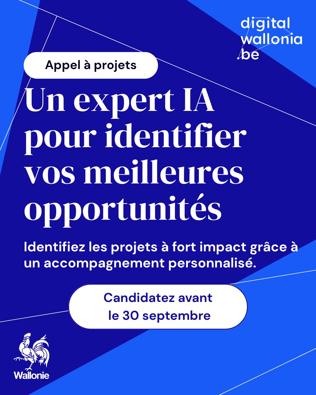 Digital Wallonia ad