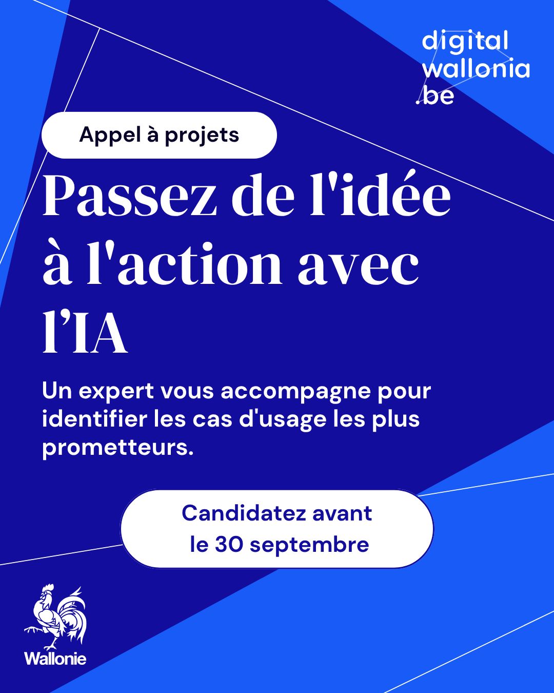 Digital Wallonia ad