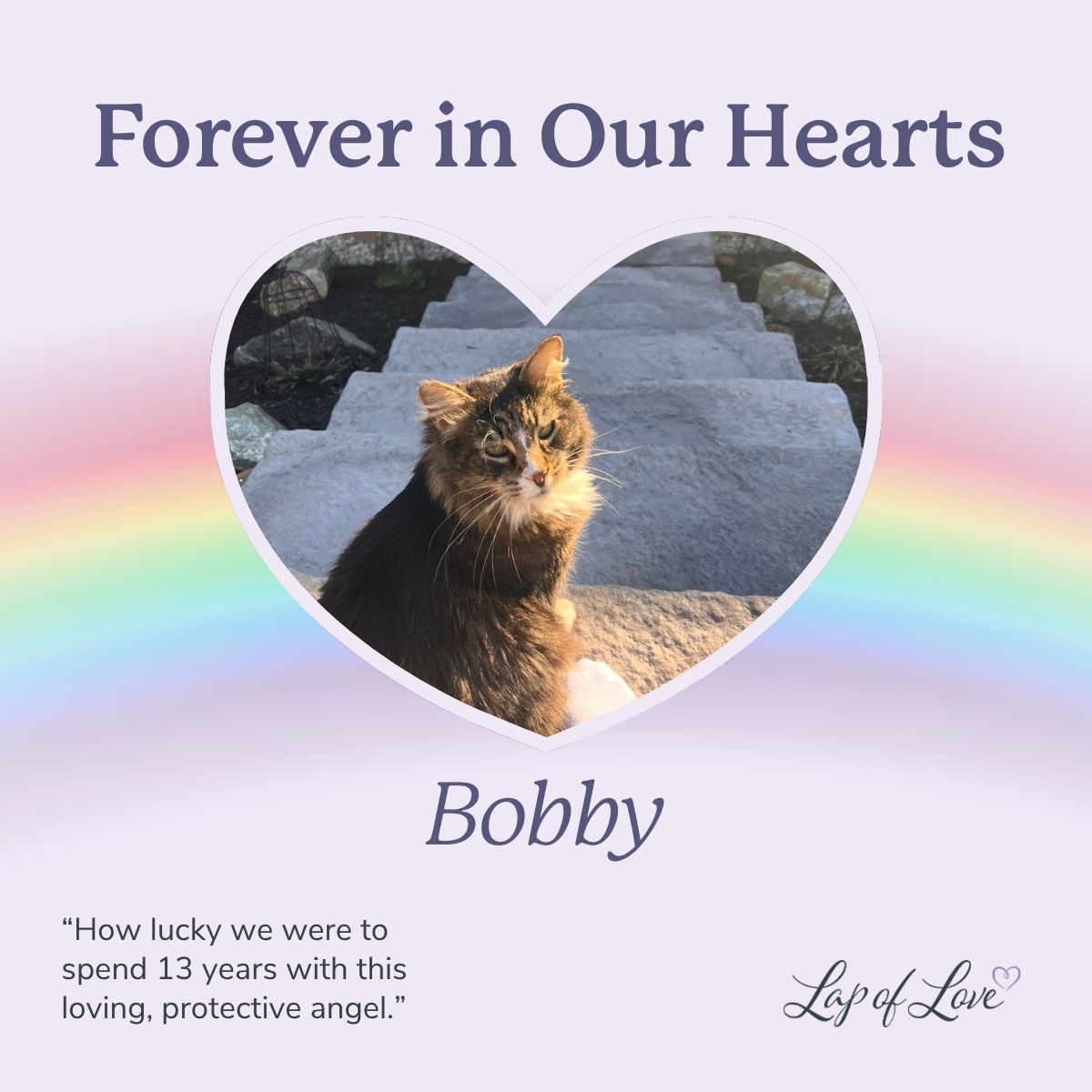 Lap of Love Veterinary Hospice ad