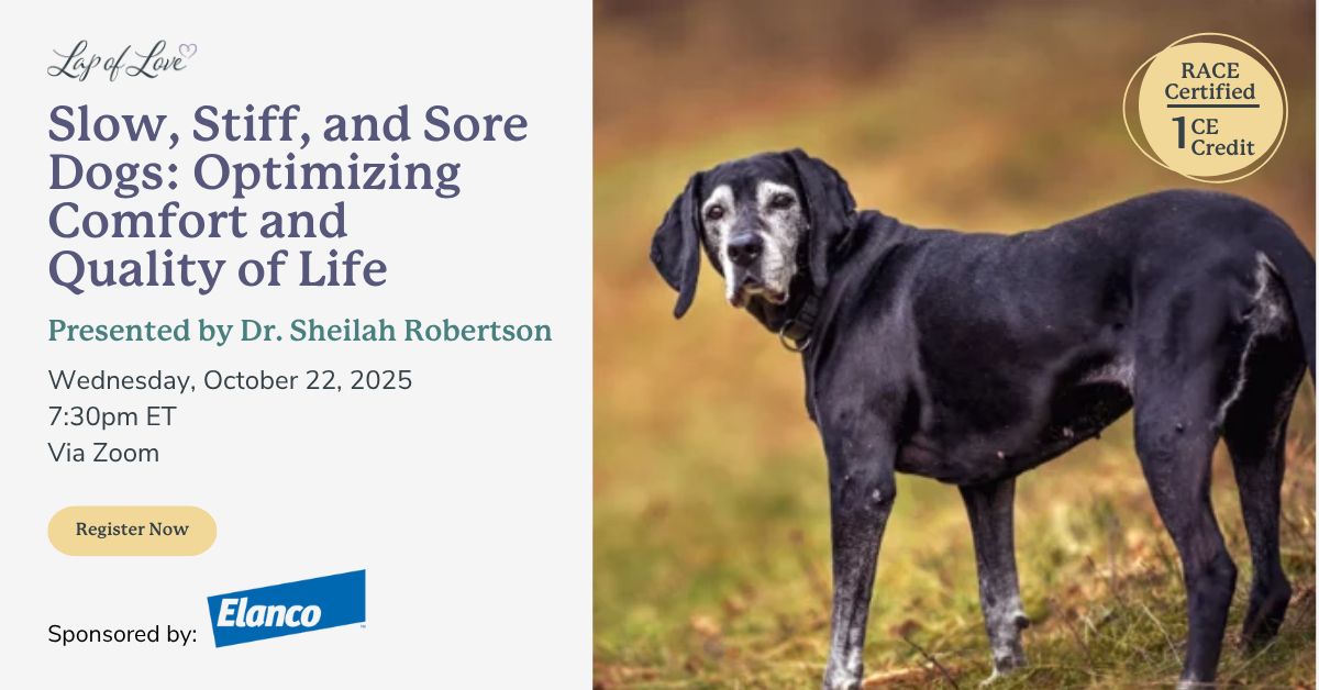 Lap of Love Veterinary Hospice ad