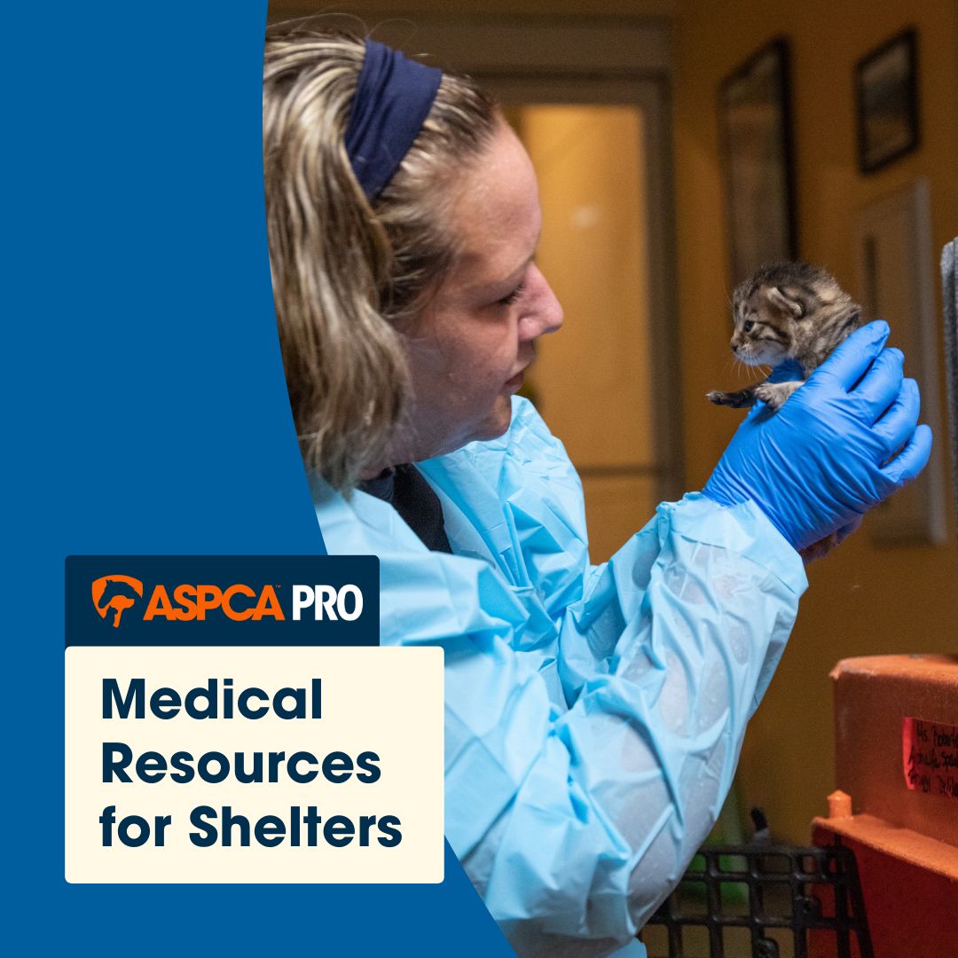 ASPCA ad