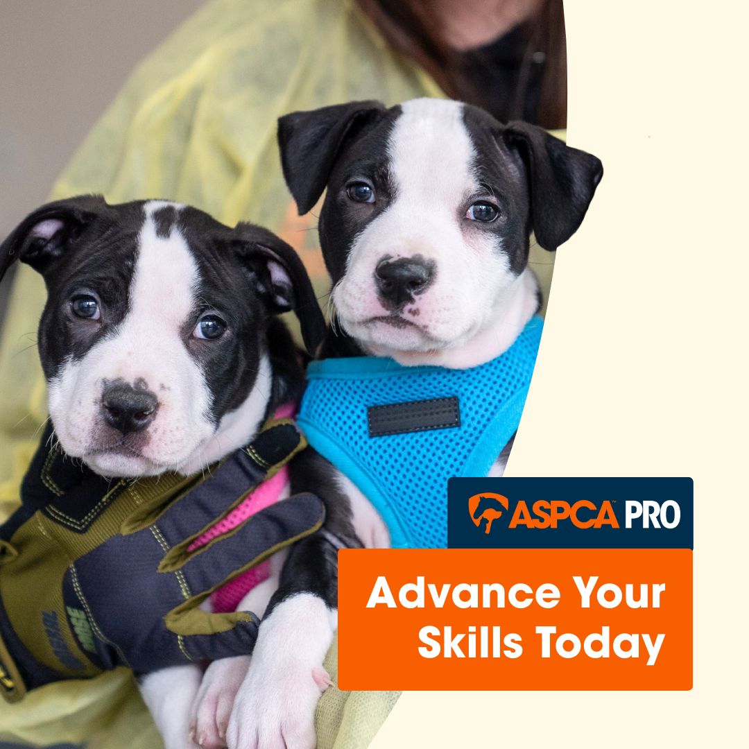 ASPCA ad
