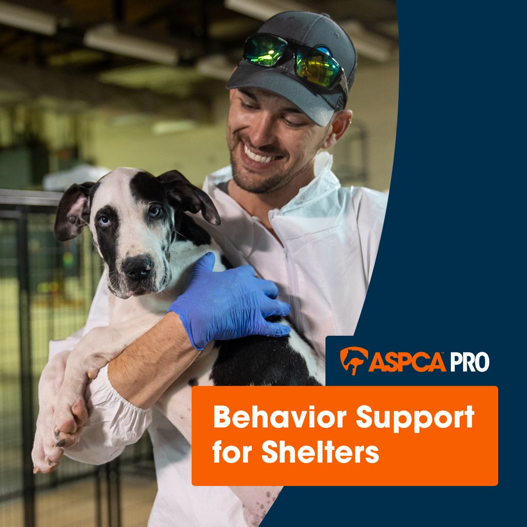 ASPCA ad