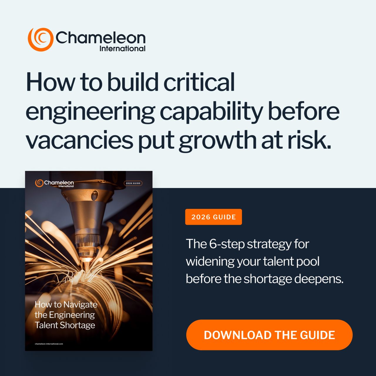 Chameleon International Search Ltd ad