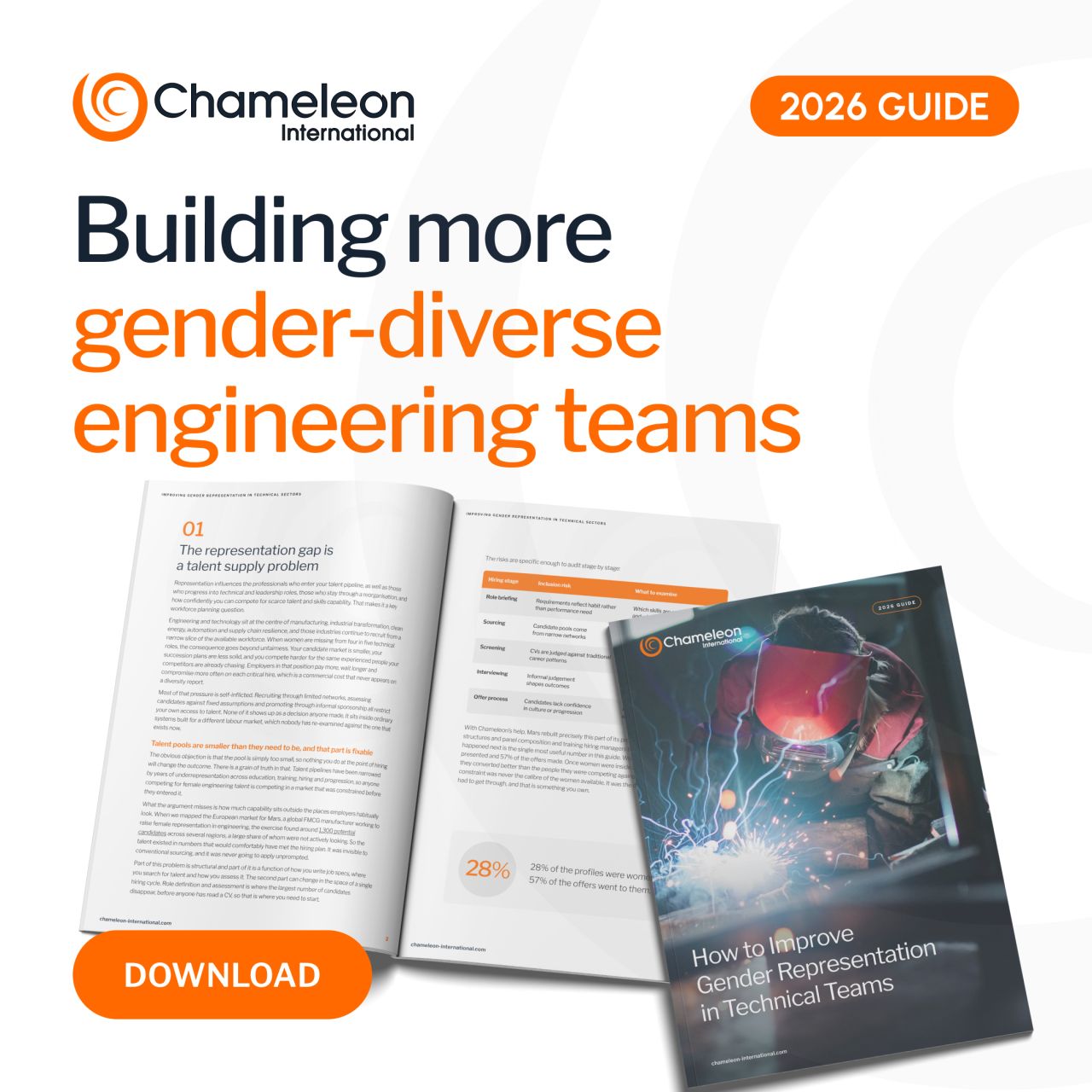 Chameleon International Search Ltd ad