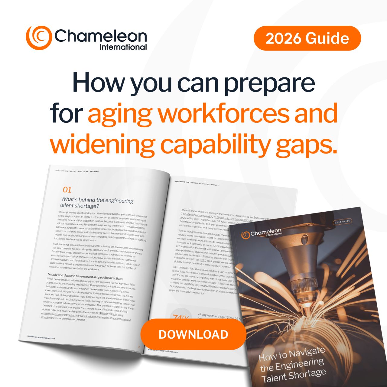 Chameleon International Search Ltd ad