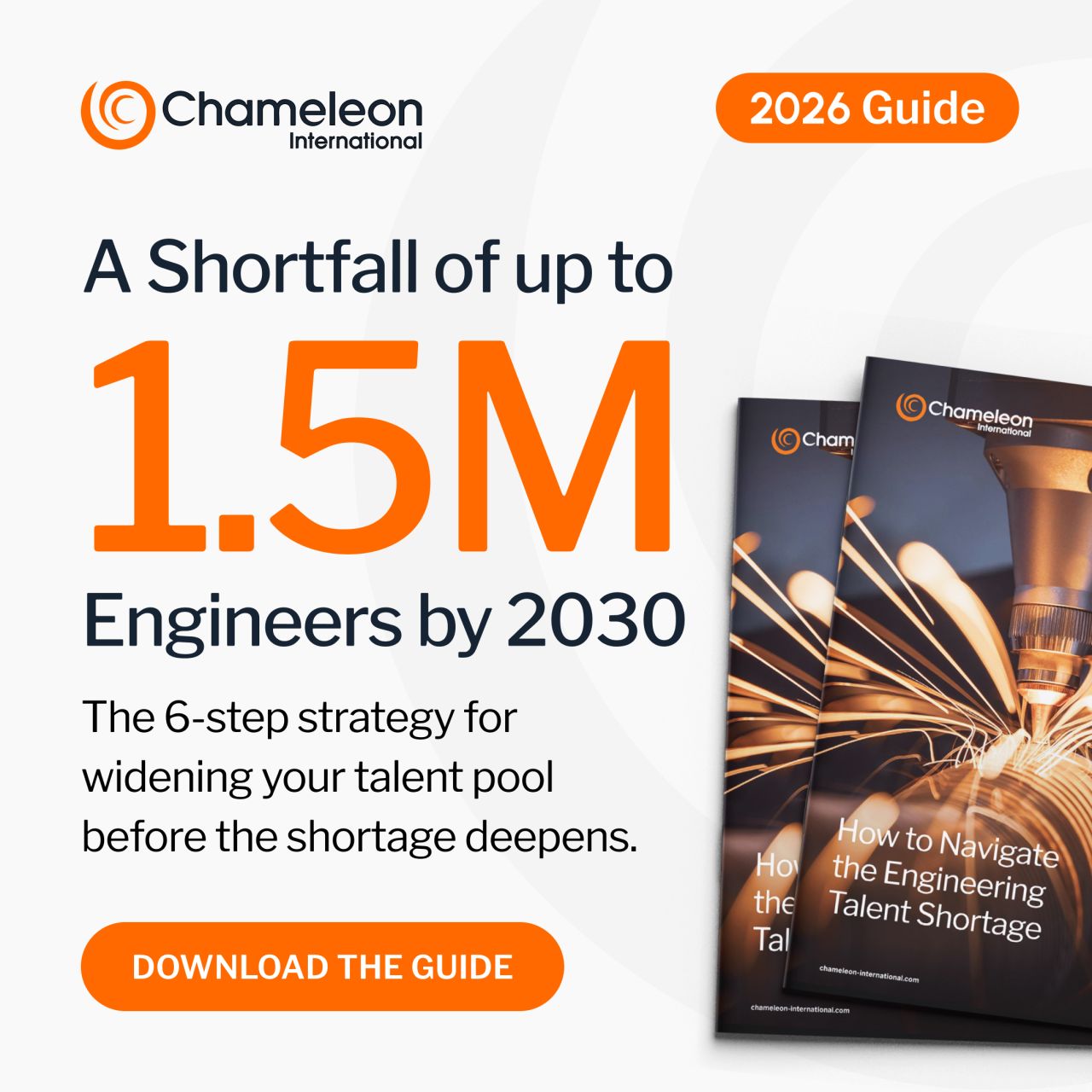 Chameleon International Search Ltd ad