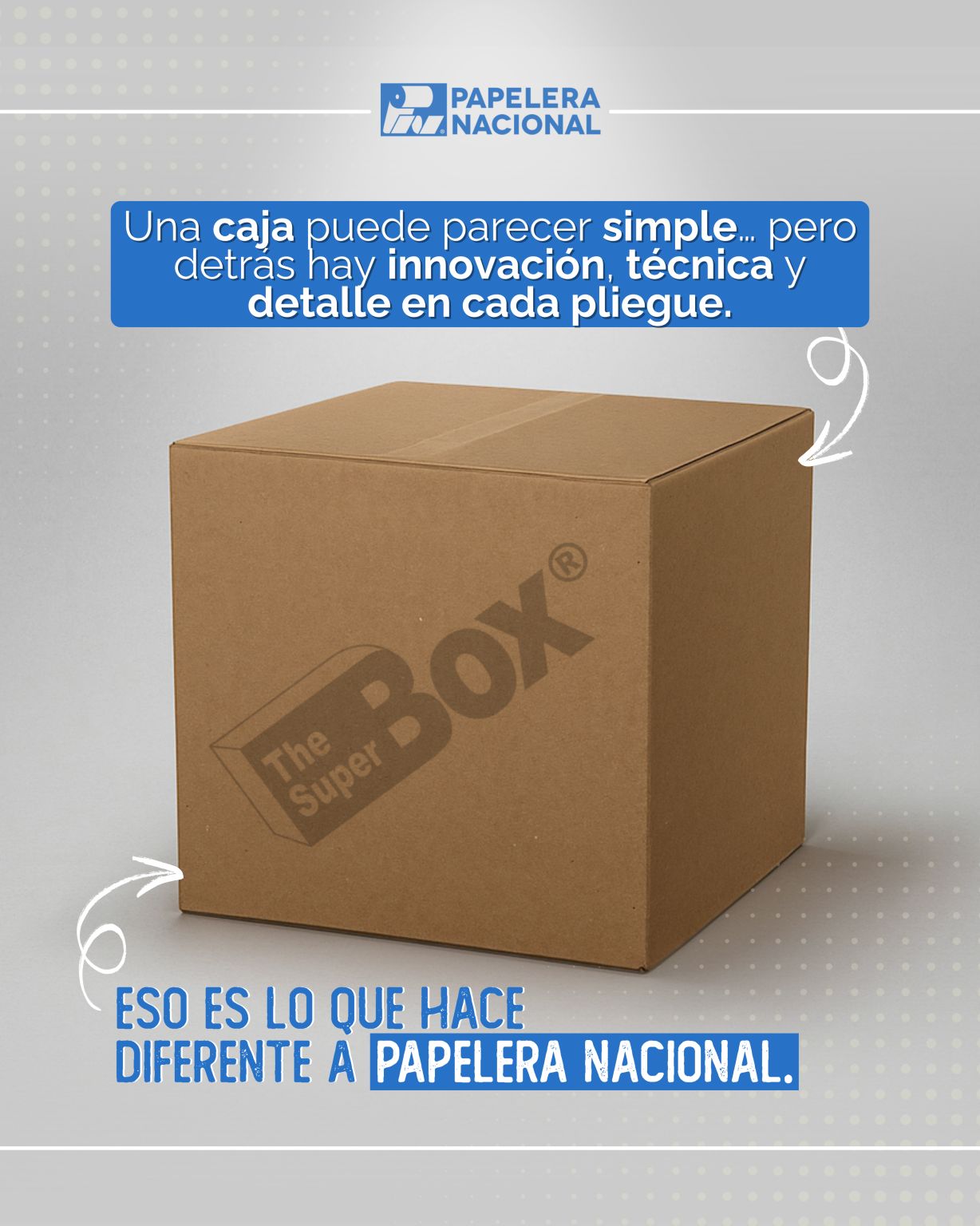 PAPELERA NACIONAL S.A. ad
