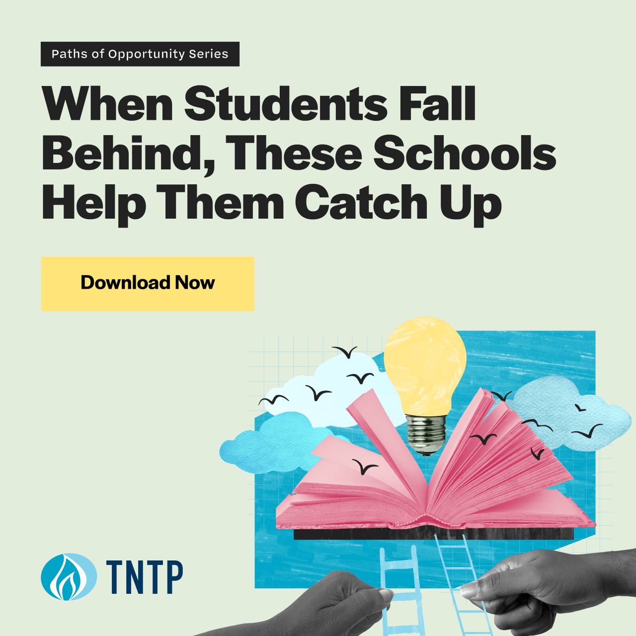 TNTP ad