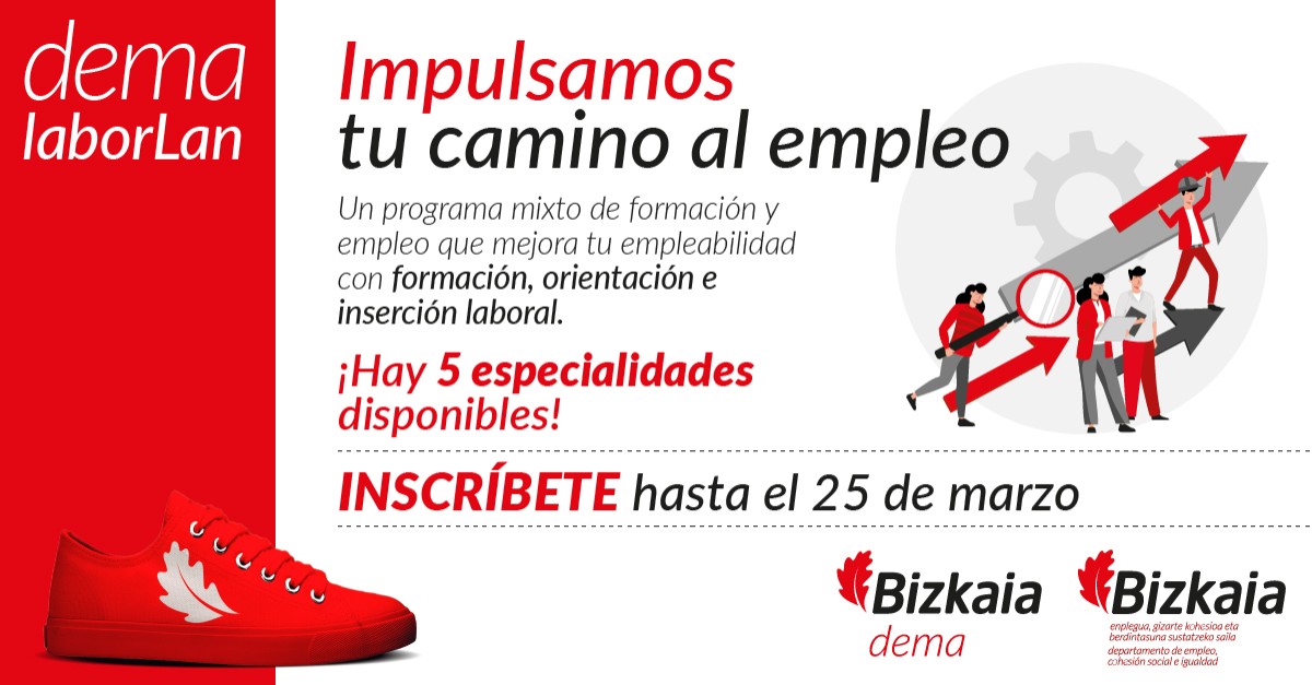 DEMA Agencia Foral de Empleo y Emprendimiento de Bizkaia ad