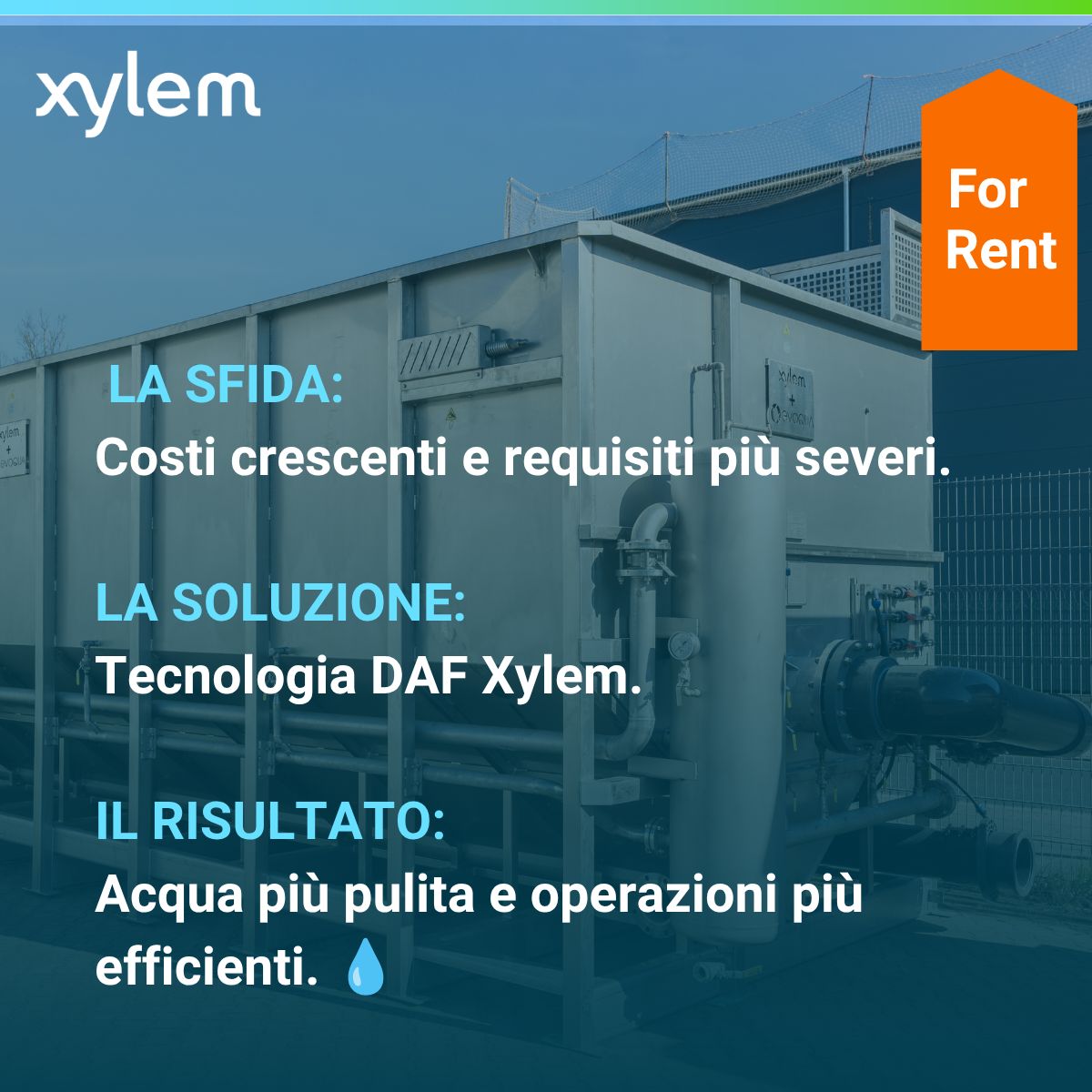 Xylem ad