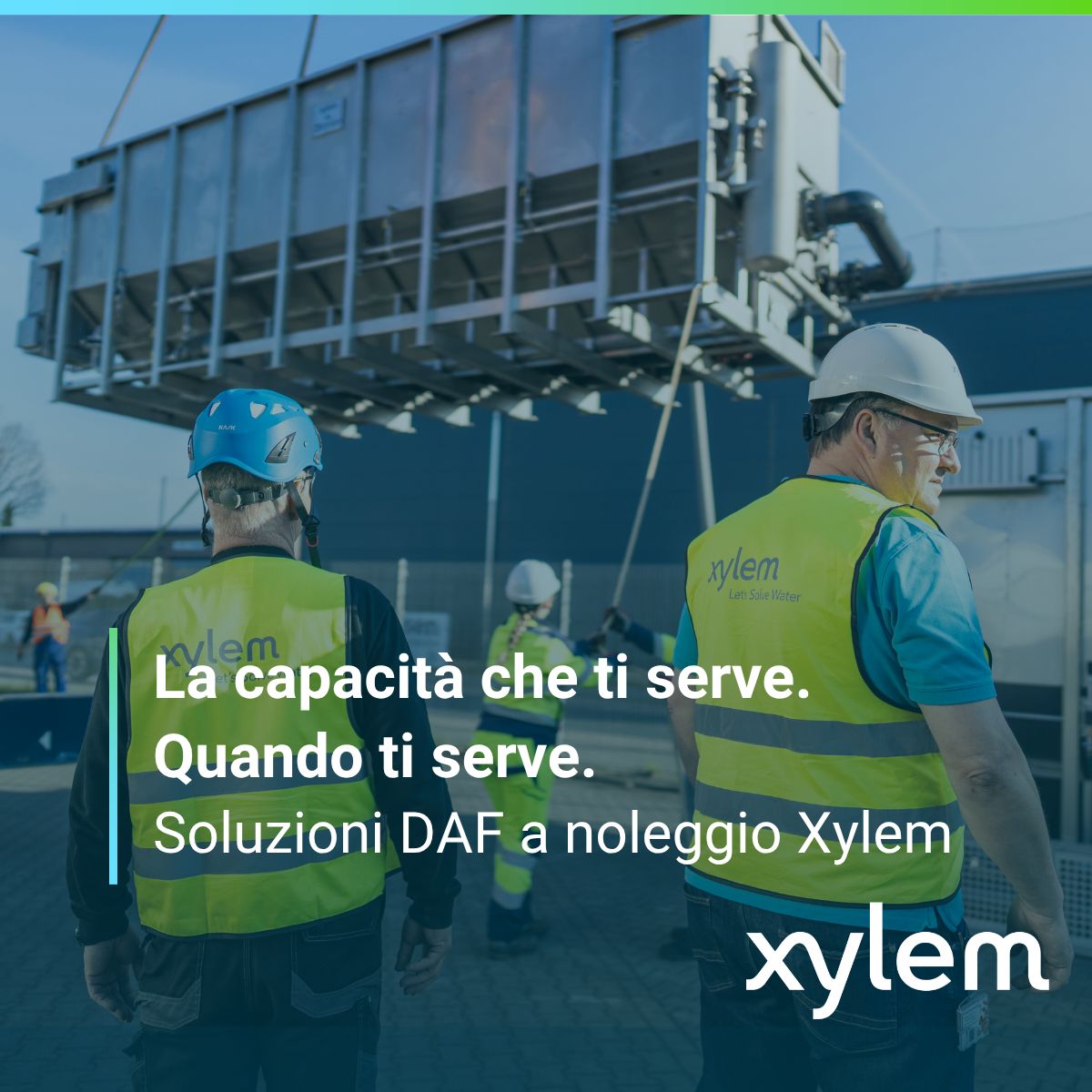 Xylem ad