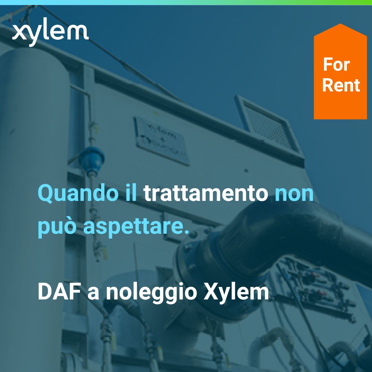 Xylem ad