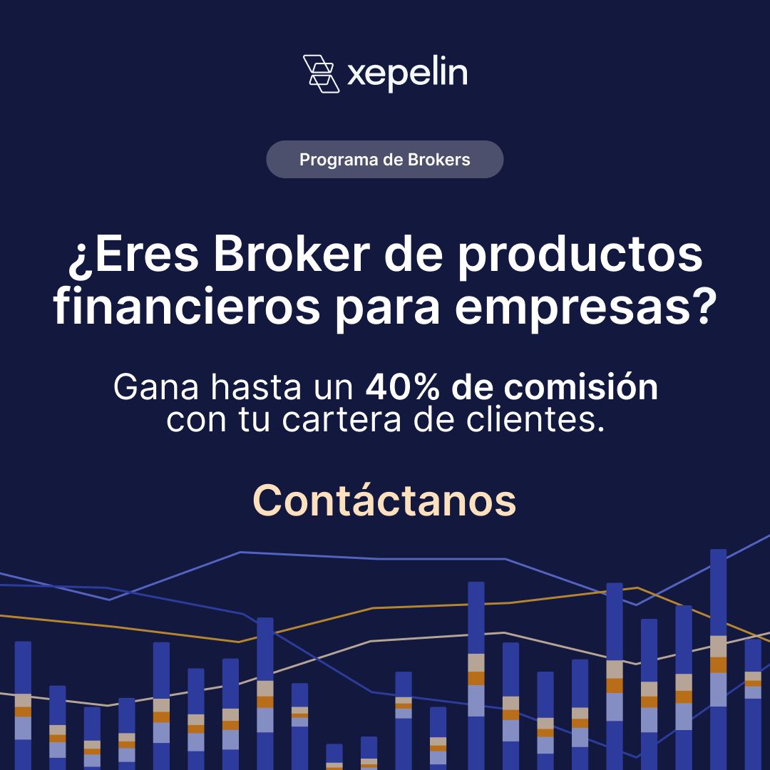 Xepelin ad