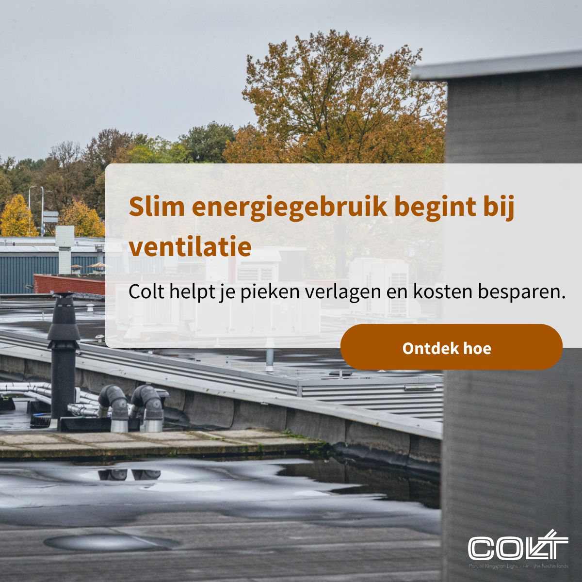 Colt International ad