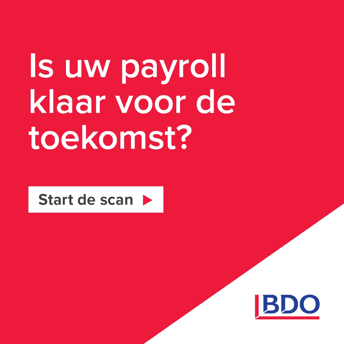 BDO Nederland ad