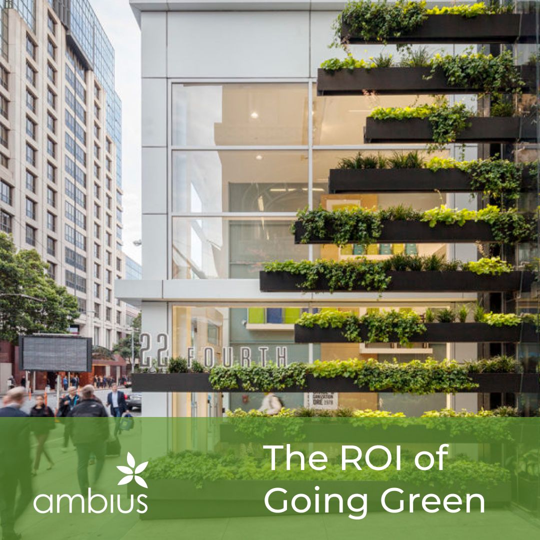 Ambius ad