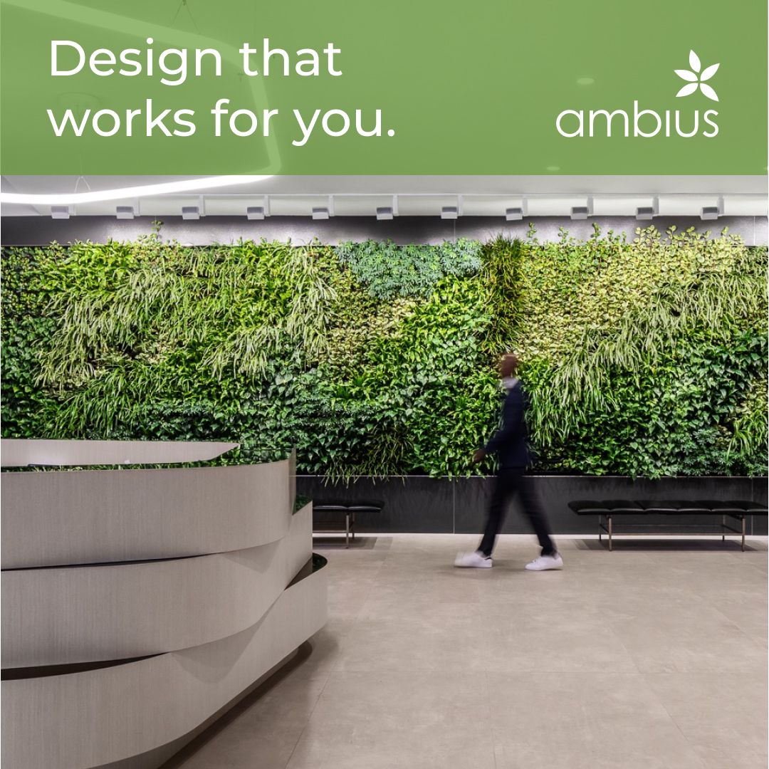 Ambius ad