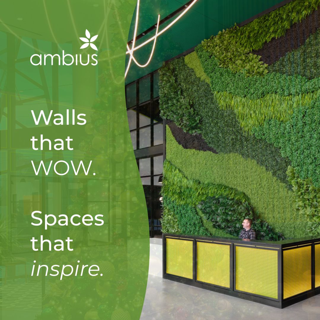 Ambius ad