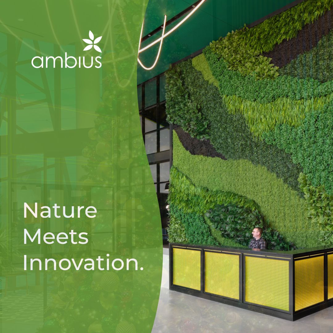 Ambius ad